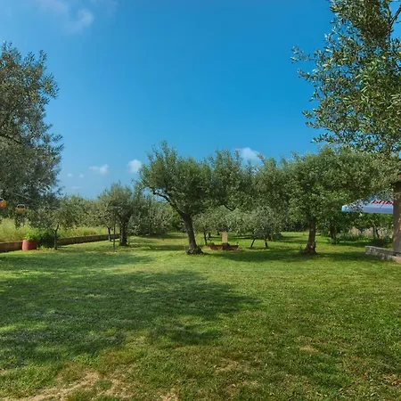 Apartment And Holiday Home Mladenka *